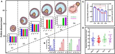Integration analysis of metabolome and transcriptome reveals the effect of exogenous supplementation with mixtures of vitamins ADE, zinc, and selenium on follicular growth and granulosa cells molecular metabolism in donkeys (Equus asinus)